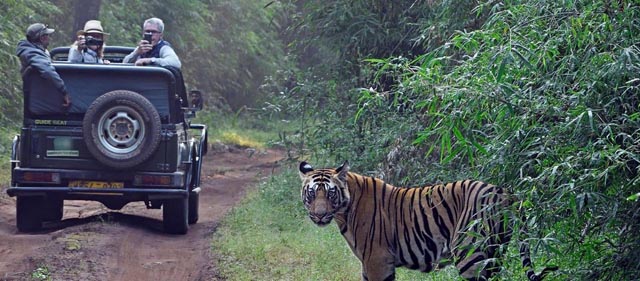 Jungle Safari in Pachmarhi National Park