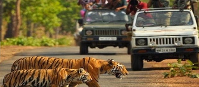 Taxi Booking Bandhavgarh.jpg