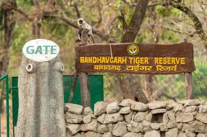 How to Reach Bandhavgarh National Park